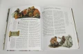 Ilustrowana Biblia rodzinna 5