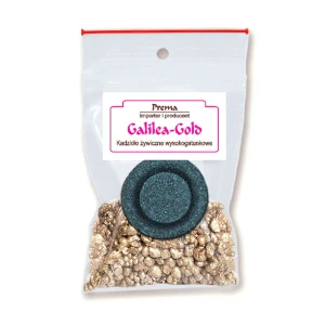 Kadzidło żywiczne - Pakiecik z węgielkiem - Galilea-gold