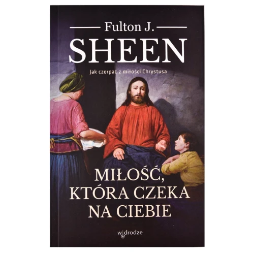 Książka - Miłość, która czeka na ciebie